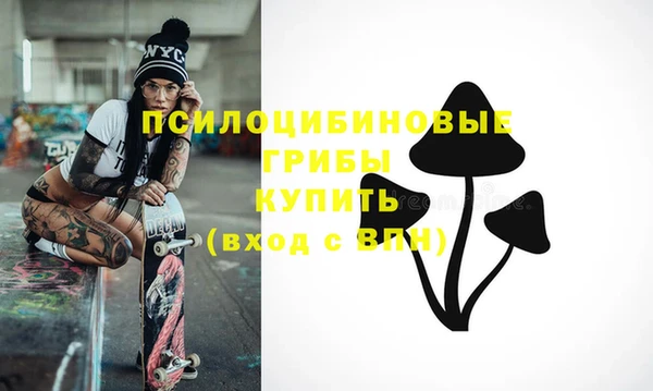 гашик Алзамай