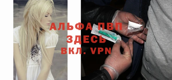 гашик Алзамай