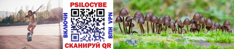 Псилоцибиновые грибы Psilocybe  где можно купить наркотик  Юрьев-Польский 